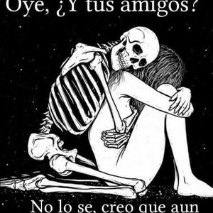 Meet your Posher, Daniela